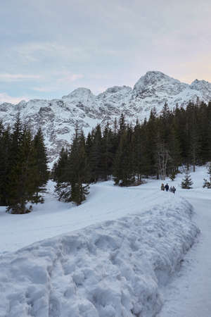father and mother walking with their sons in snowy mountain with treesの写真素材