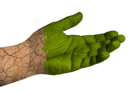 Climate change, a hand loses its leaf texture and turns into arid soilの写真素材