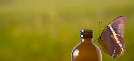 Butterfly sitting on a brown bottle of perfume oil, bokeh background with empty space for textの写真素材