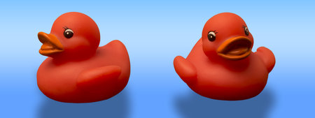 Red rubber ducks isolated on light blue backgroundの写真素材