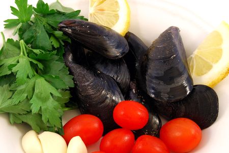 Mussels appetizingの写真素材