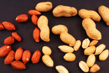 Peanut & Peanutの写真素材