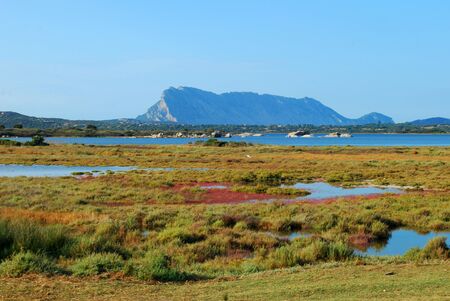 The ponds of "San Teodoro" in Sardinia at the Sunsetの写真素材