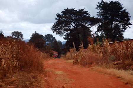 The Village of Pomerini - Tanzania - Africa - August 2013の写真素材