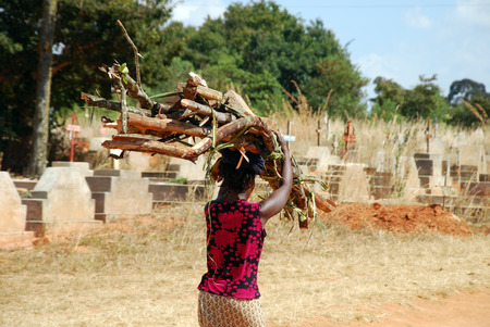 August 2014-Village of Pomerini-Tanzania-Africa-An African woman on the head while carrying a bundle of firewood in the background the-cemetery outside the village with many deaths due to AIDSのeditorial素材