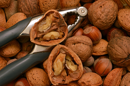 Composition of walnuts, almonds and hazelnuts with nutcrackerの写真素材