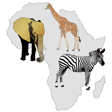 The Africa and its animals - illustration representing the best known African animalsのイラスト素材