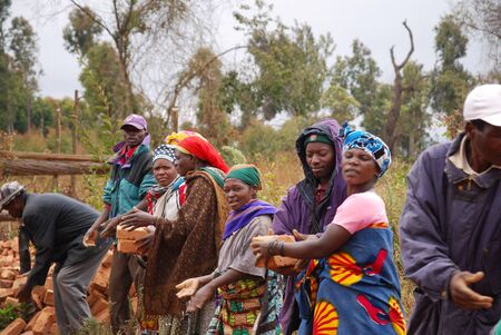 August 18, 2014, Village of Pomerini, Tanzania, Africa - An unidentified group family recovers red clay bricks still usable from a collapsed house in the village Pomerini, using the system of the human chain and pass from hand to handのeditorial素材