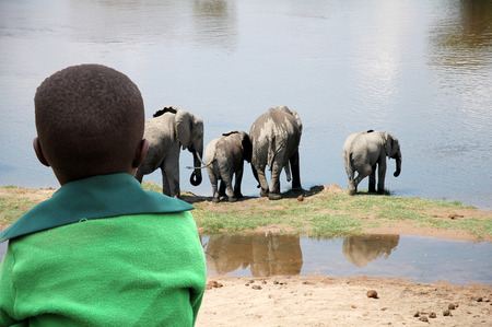An African child as he watches a group of elephants to the river in Tanzania - Africaの写真素材