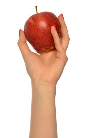 A woman hand holds an appleの写真素材