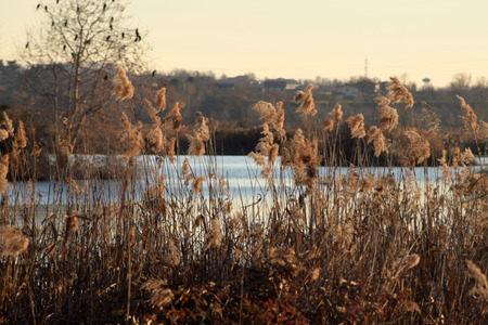 The rare phenomenon of the frozen bogs of Lake Iseo - Brescia - Lombardy - Italyの写真素材
