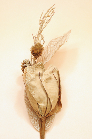 A gracious thought for a Christmas present 06の写真素材