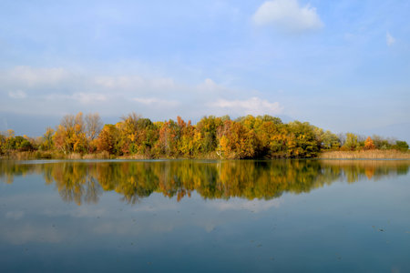 A healthy walk among the autumn colors in the peat bogs of Lake Iseo, Brescia, Italyの写真素材