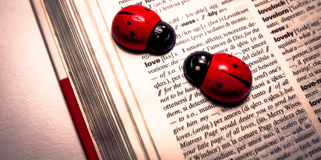 two toy ladybugs on a dictionary translating the word love from English to italian