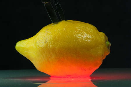 Lemon in red juiceの写真素材