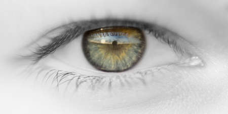 Eye with reflectionsの写真素材