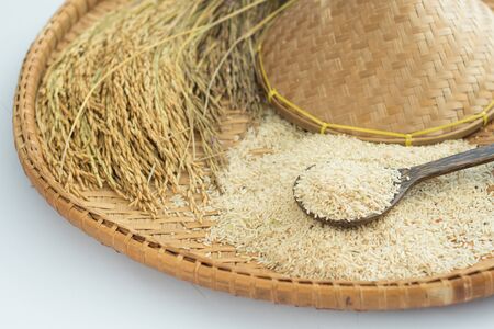 brown rice  and paddy rice on bamboo backgroundの写真素材