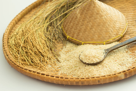brown rice  and paddy rice on bamboo backgroundの写真素材