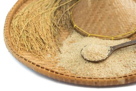 brown rice  and paddy rice on bamboo backgroundの写真素材