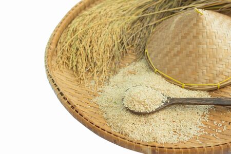brown rice  and paddy rice on bamboo backgroundの写真素材