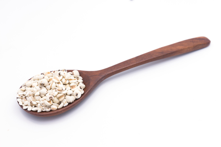 job's tears on wooden spoon , chinese pearl barley , on white backgroundの写真素材