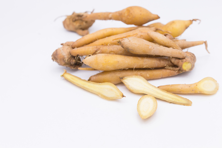 Fingerroot, Kaempfer, Boesenbergia on white backgroundの写真素材