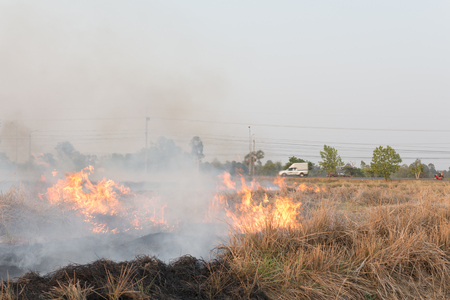 Field on fire, burning dry grass near the highwayの写真素材