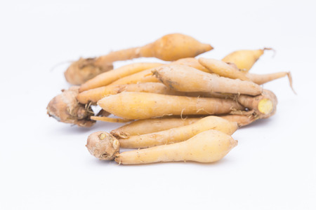Fingerroot, Kaempfer, Boesenbergia on white backgroundの写真素材
