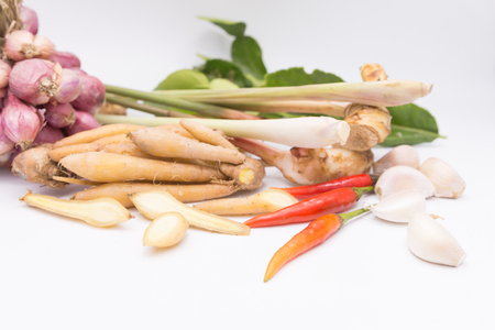 Fingerroot, Kaempfer, Boesenbergia and Ingredient of Thai Red curry paste.の写真素材
