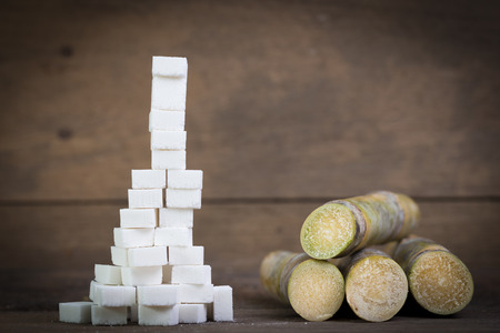 sugar cubes and sugar cane , concept for compare chemical and naturalの写真素材