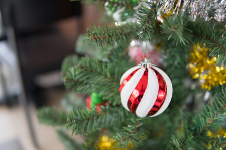 Decorated Christmas tree on blurredの写真素材