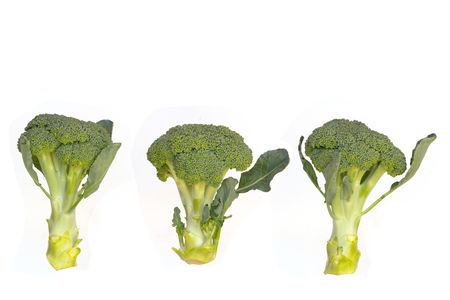 fresh broccoli on white backgroundの写真素材