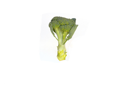 fresh broccoli on white backgroundの写真素材