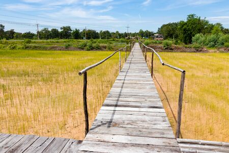 Wooden bridge walkway along concept for go to targetの写真素材