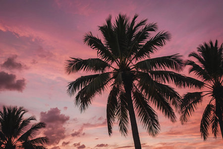 Silhouette of coconut palm tree on sunset sky background - Vintage Filterの素材