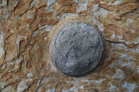 Botanical Beach,detail in the rock, Vancouver Island, British Columbia, Canada.の写真素材