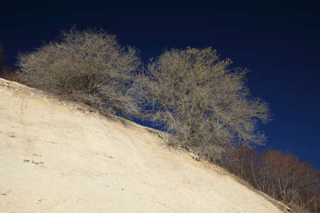 Moens Klint, high limestone cliff at the east coast of Denmarkの写真素材