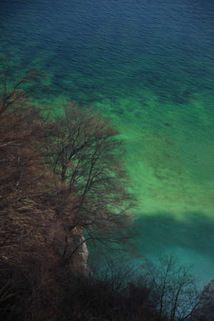 Moens Klint, high limestone cliff at the east coast of Denmarkの写真素材