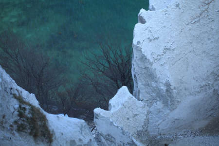 Moens Klint, high limestone cliff at the east coast of Denmarkの写真素材