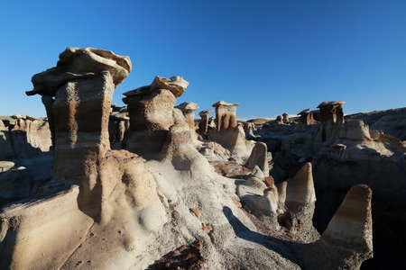 Bisti badlands,New Mexico, USA