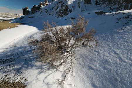 Ah-Shi-Sle-Pah Wilderness Study Area in winter ,New Mexico,USA