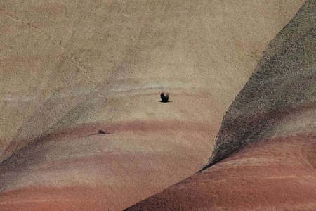 Painted Hills in the John Day Fossil Beds National Monument at Mitchell City, Wheeler County,...