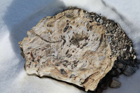Bisti Badlands Wilderness Area in winter with snow, New Mexico, USAの写真素材