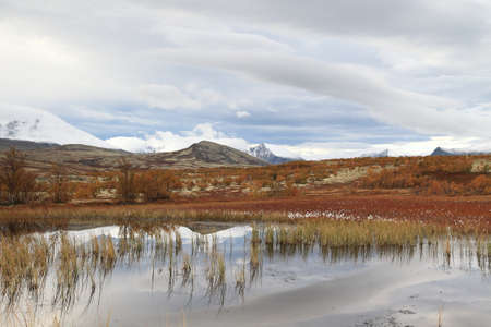 Rondane National park, Norway, Europeの写真素材