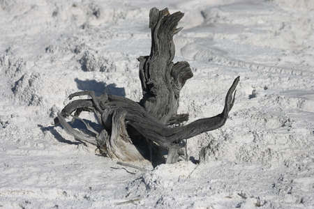 Mammoth Hot Springs in Yellowstone National Park, Wyoming