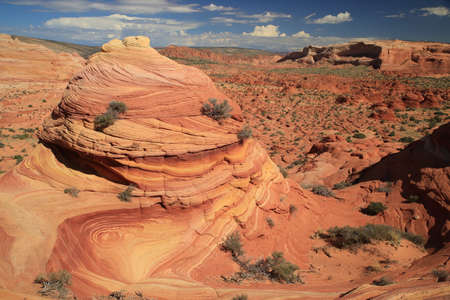 Rock formations in the North Coyote Buttes, part of the Vermilion Cliffs National Monument. This area is also known as The Waveの写真素材