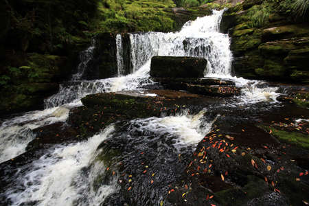 McLean Falls on the Tautuku River in Catlins Forest Park New Zealandの写真素材