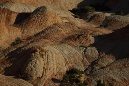 Yant Flat - Candy Cliffs Utah ,The Candy Cliffs in the Yant Flat area of the Cottonwood Forest...