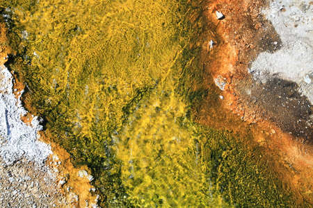 Mineral deposits leading away from Sapphire Pool in Biscuit Basin at Yellowstone National Park,USAの写真素材