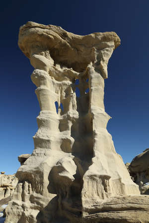 Strange Rock Formation in Bisti Badlands (Alien Throne) New Mexico USA